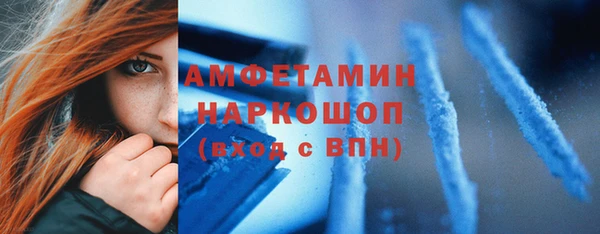 хмурый Арсеньев