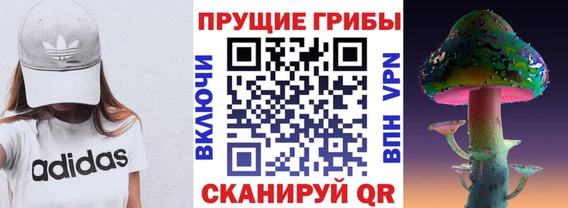 Псилоцибиновые грибы Psilocybe  Усмань 